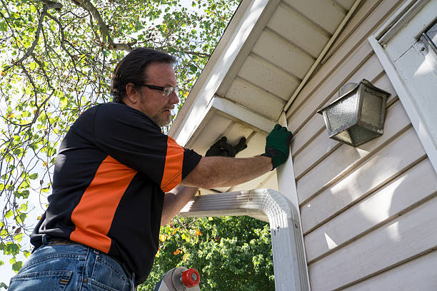 Best Yard Waste Removal  in Lexington, IL
